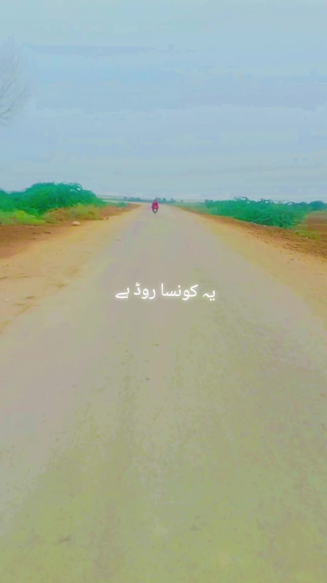 @ف 🍁