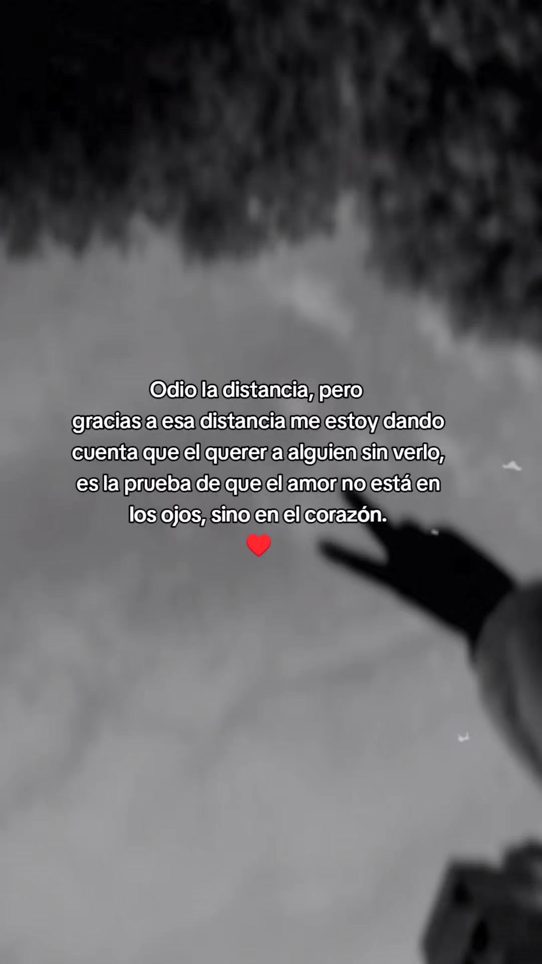@Tania