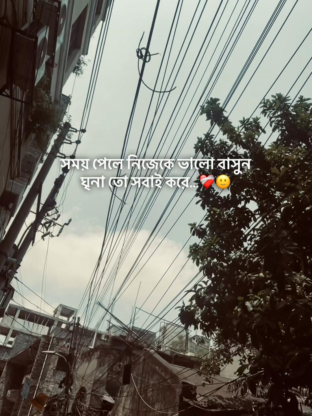 @Shahin Bhai