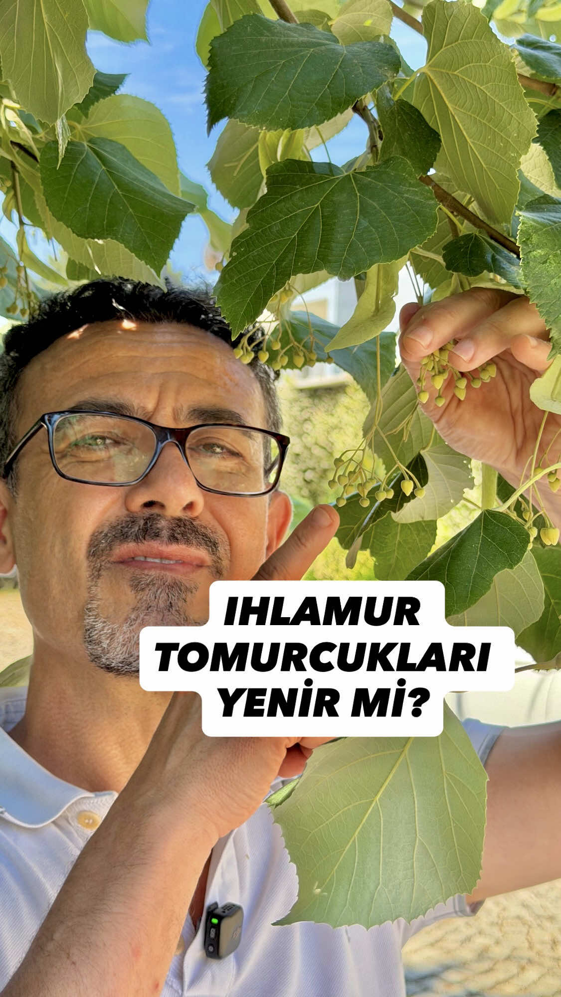 @Erdem Öner