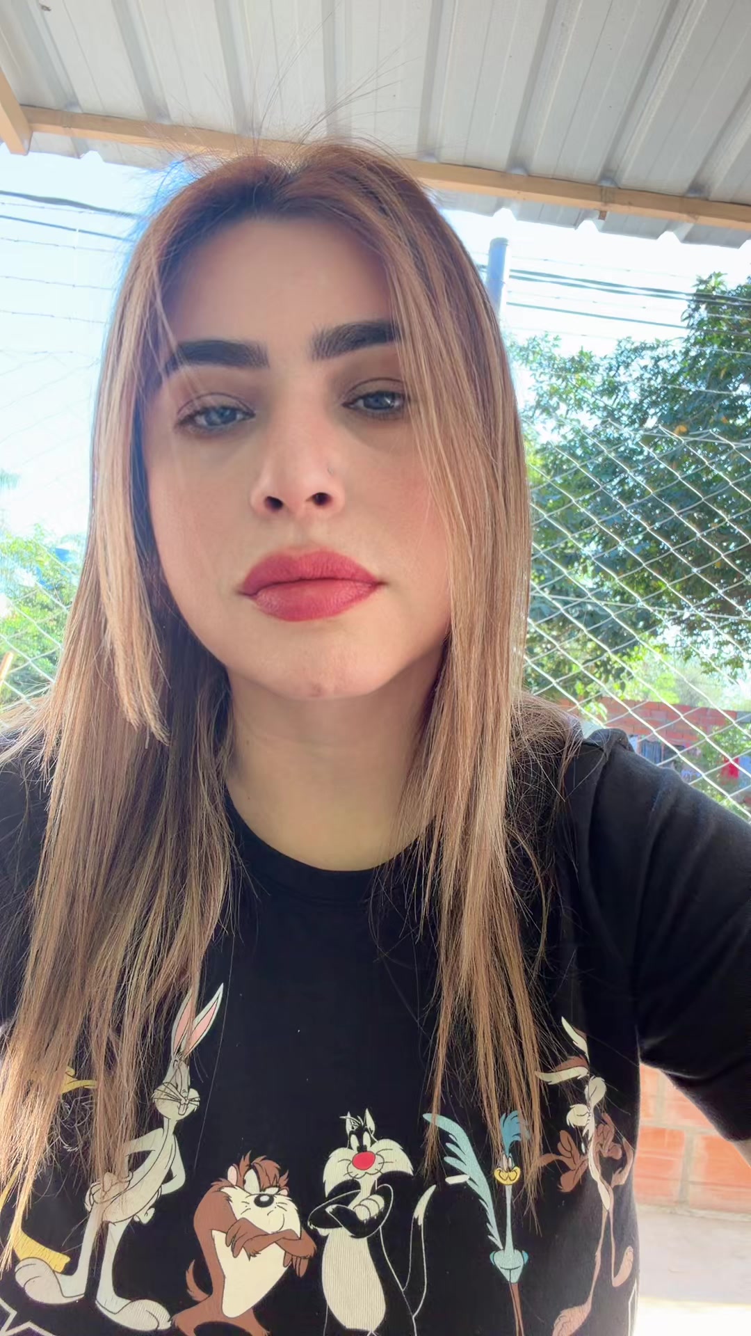 @celycard