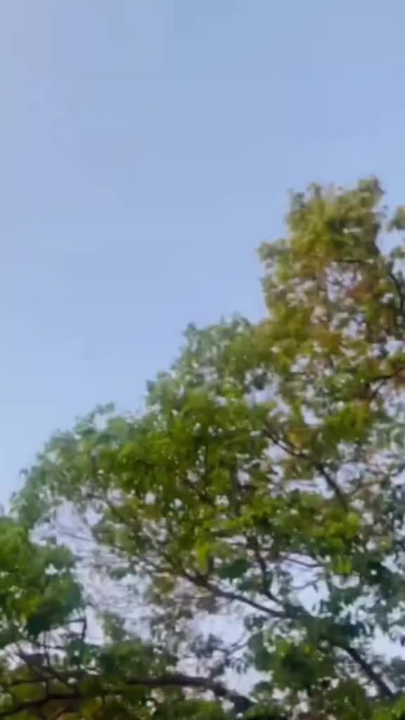 @&hearts;️&hearts;️&hearts;️&hearts;️മുഹബത്ത് &hearts;️&hearts;️&hearts;️😀