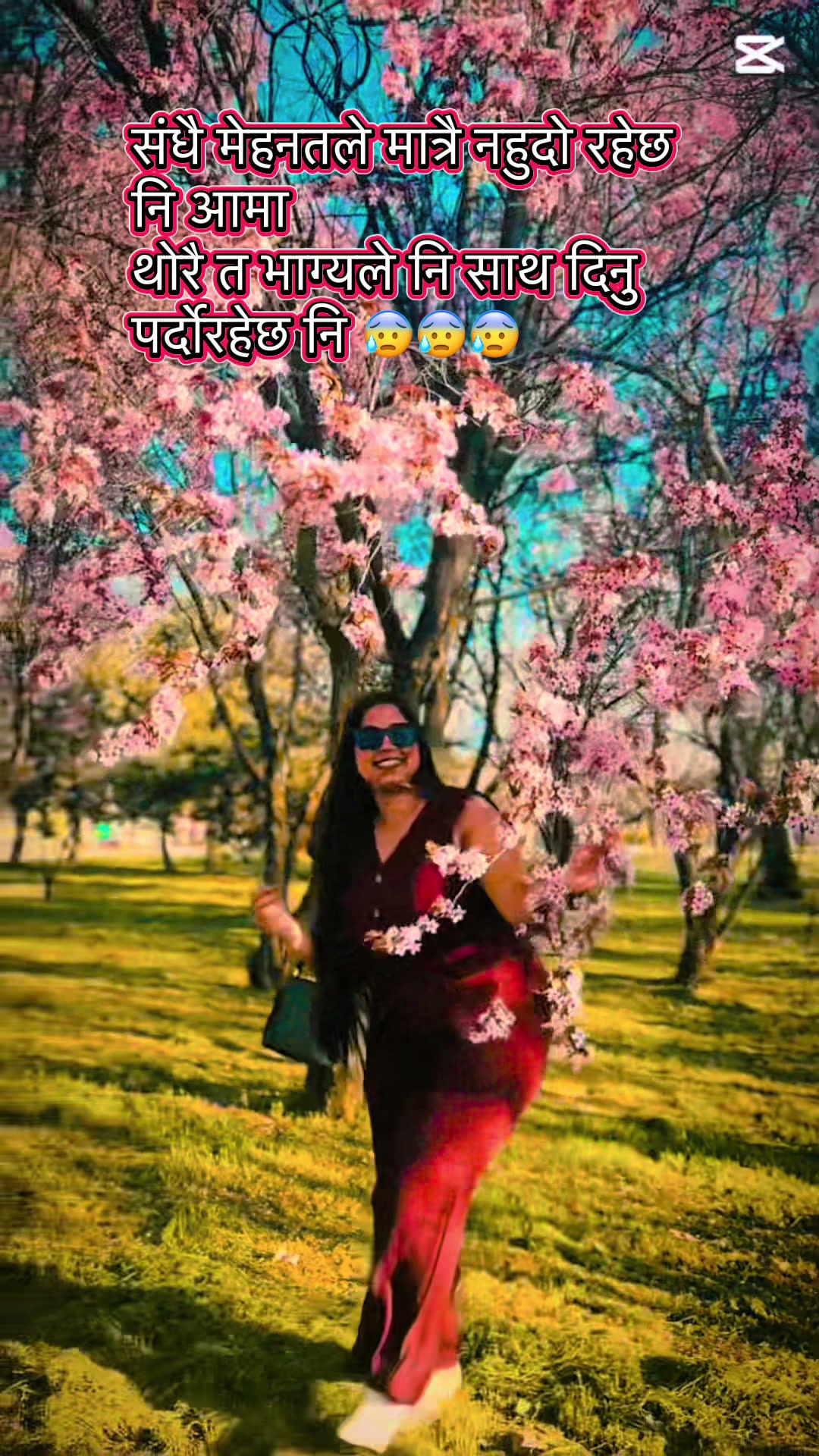@sachita