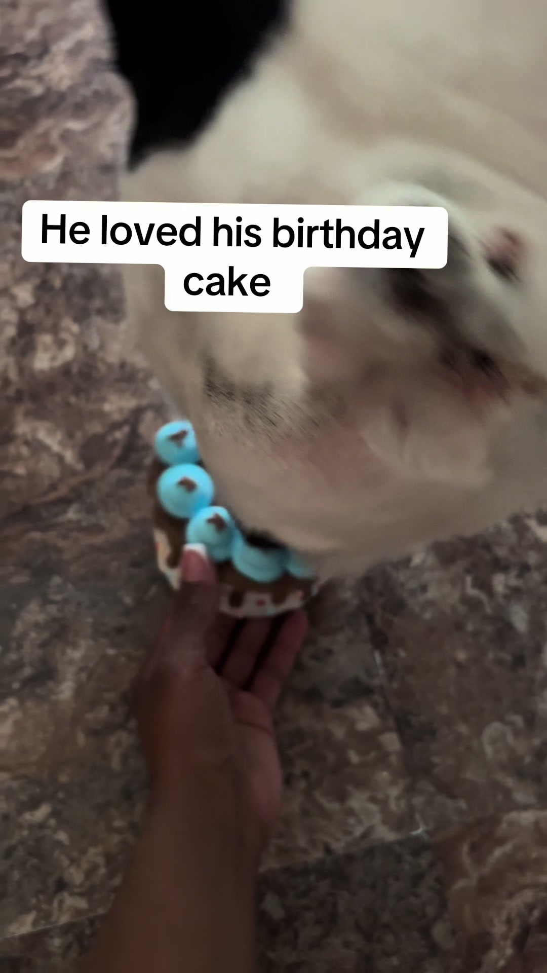 @Chelle Renee