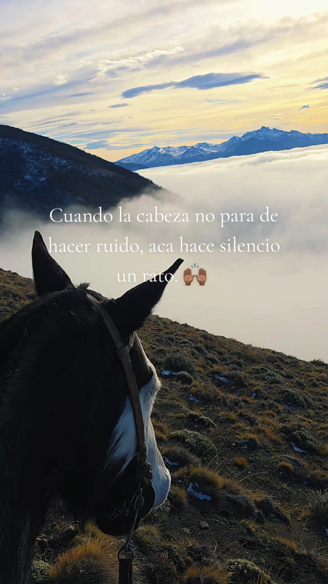 @Paisa 🐴