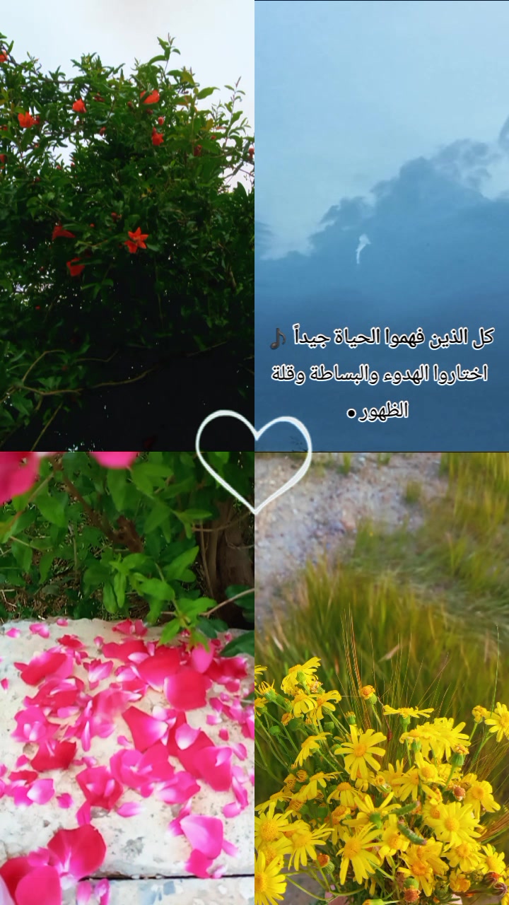 @°♡سنابل♡°