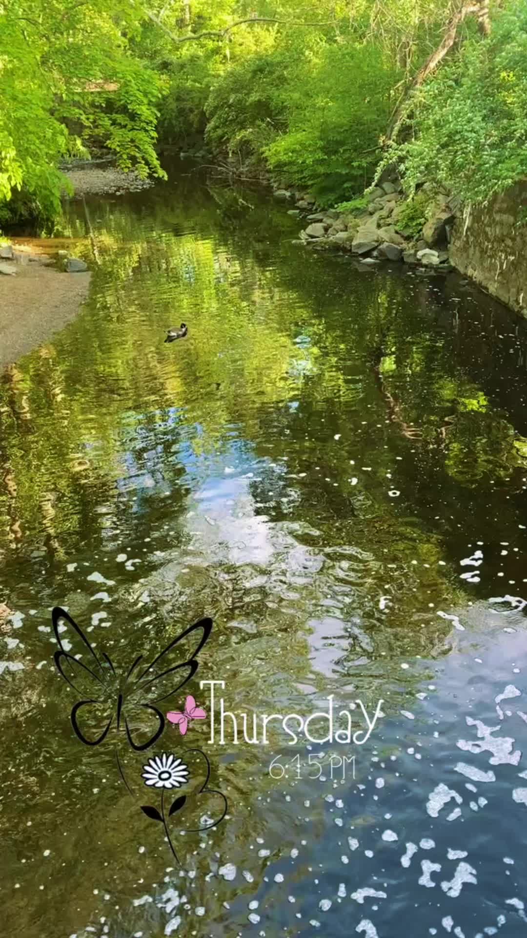 @user8113433090672