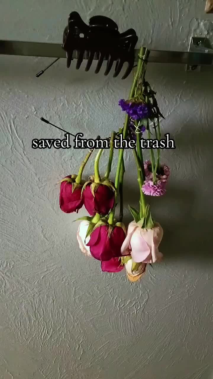 @jacetheclubace