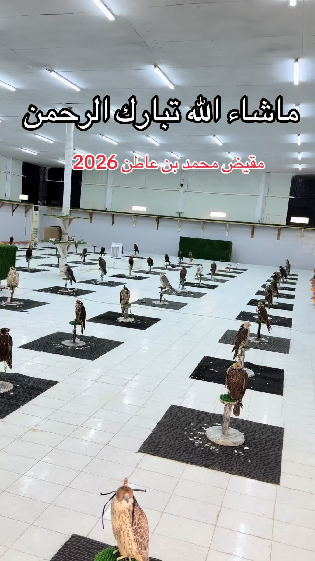 @محمد بن عاطن🦅