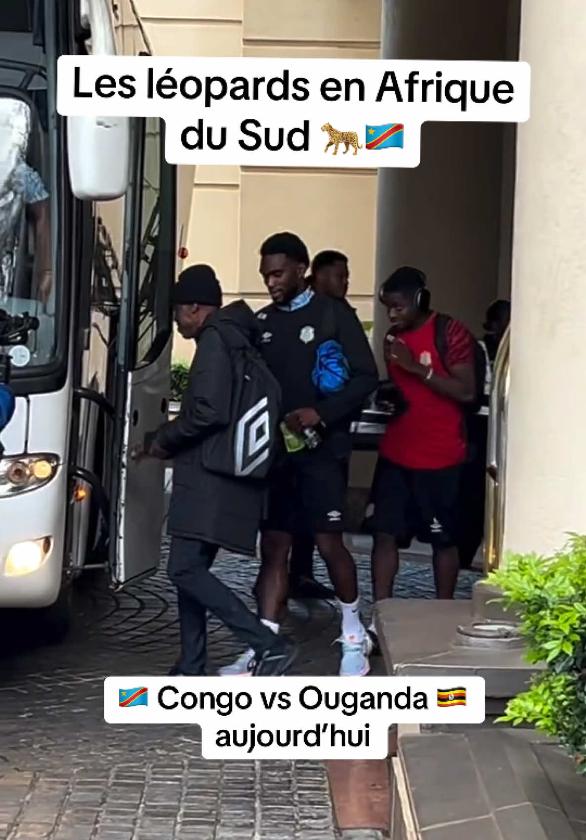 @congolese_dna