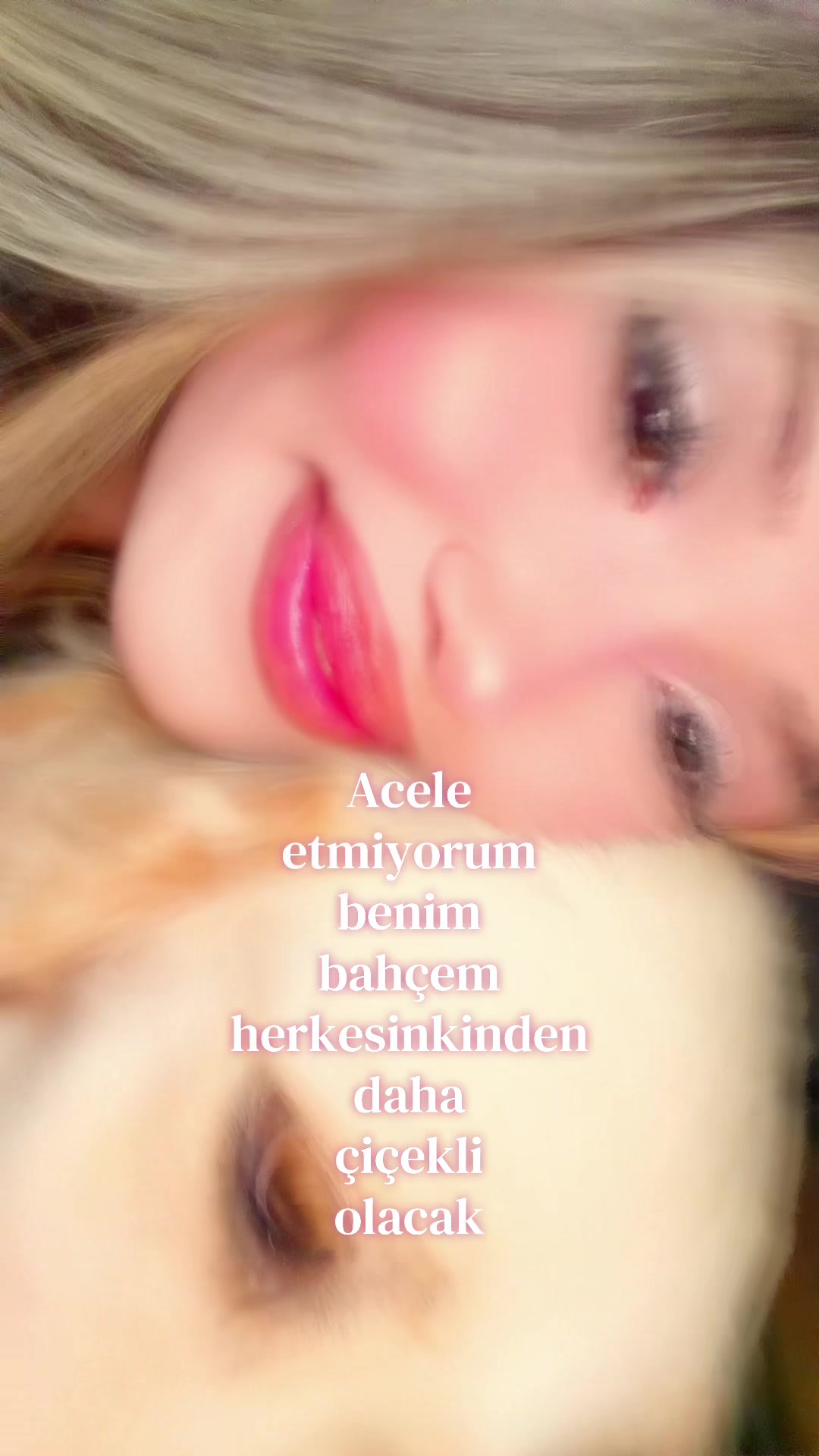 @belobeen