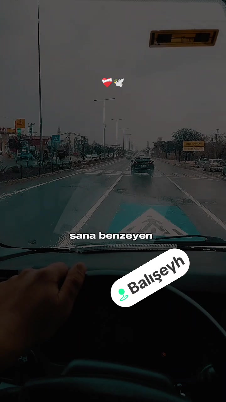 @İzzet Altunörs