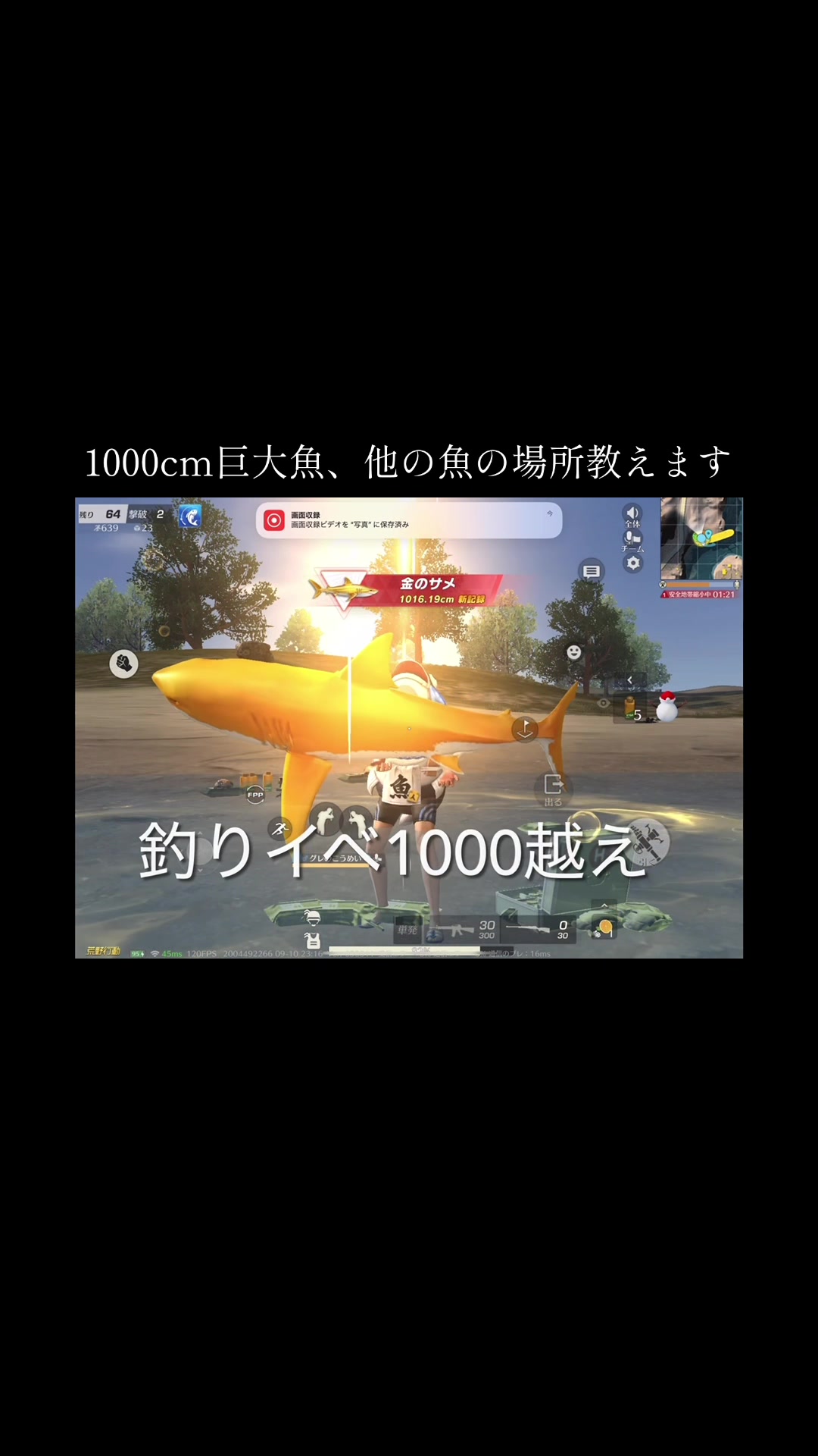 @グレのこうめい