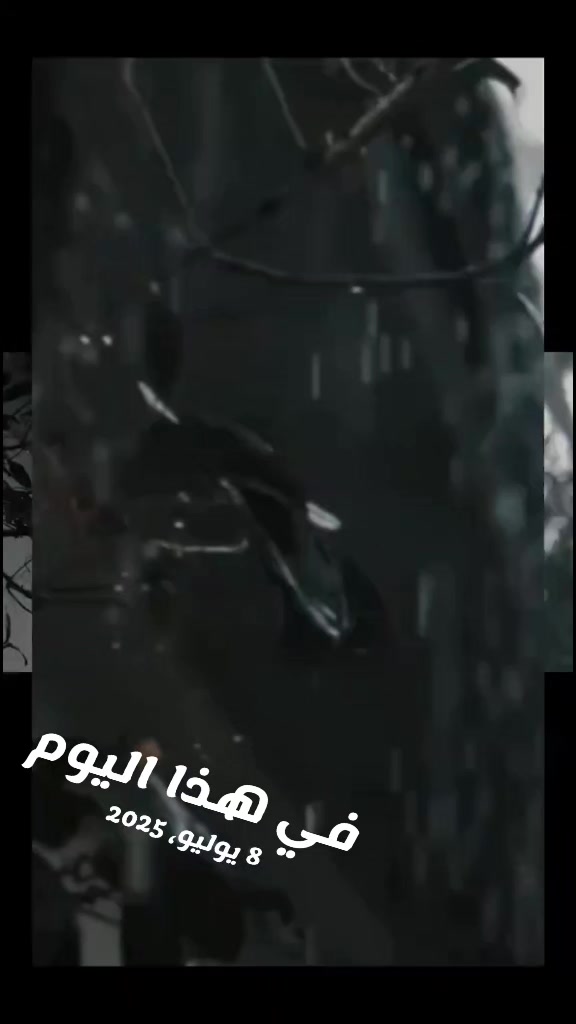 @طارق العمري