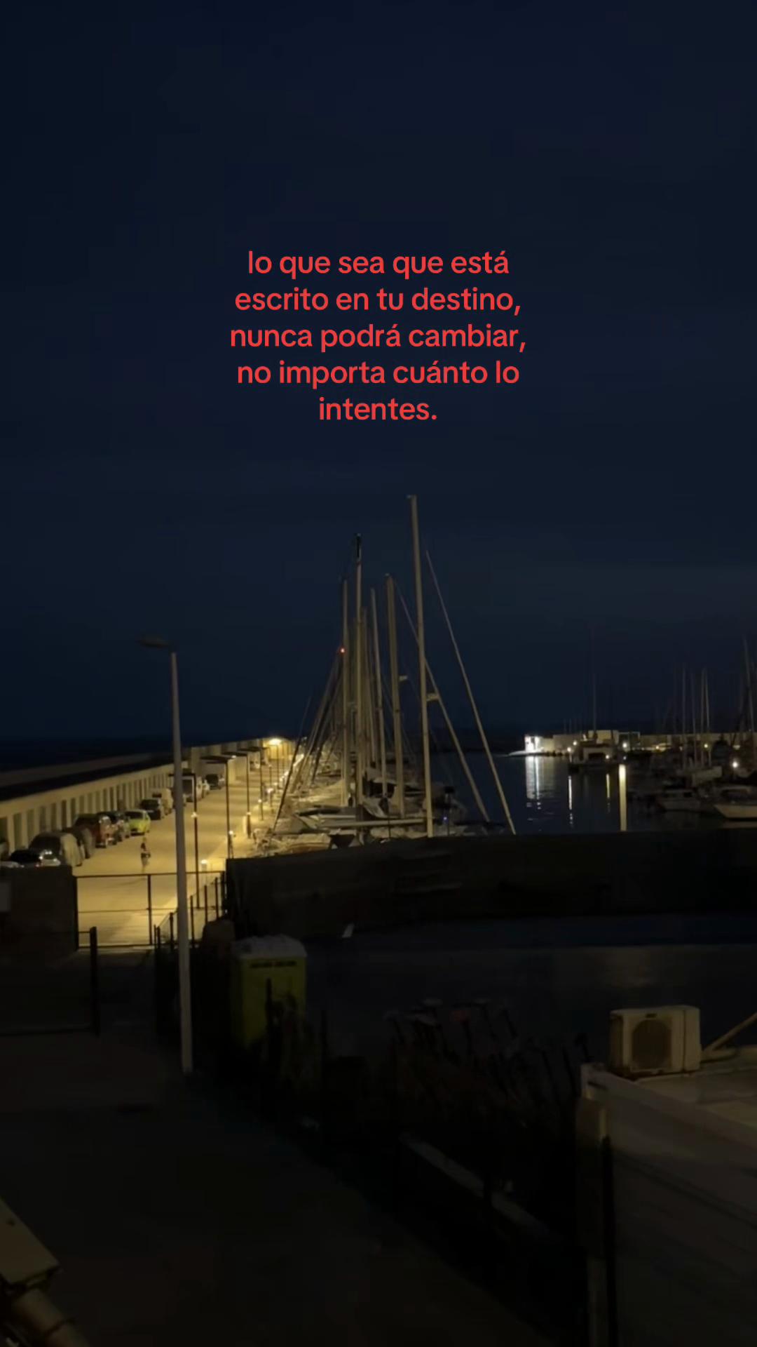@ossi 🕷️