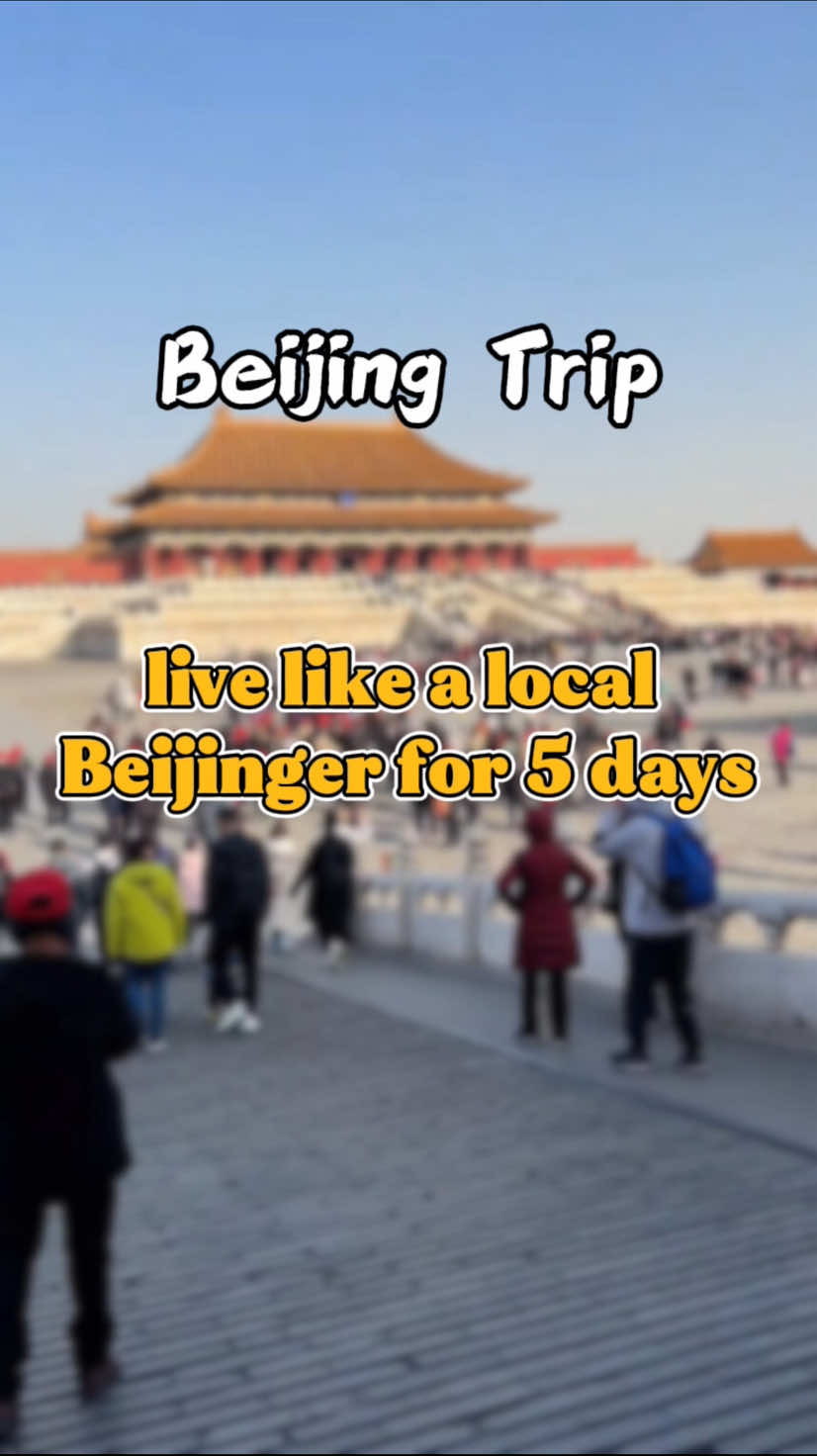 @金马国旅