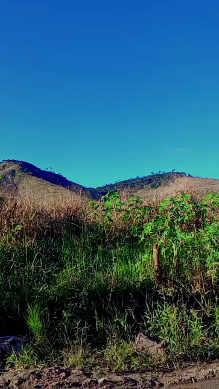 @Potiraguá Bahía e região