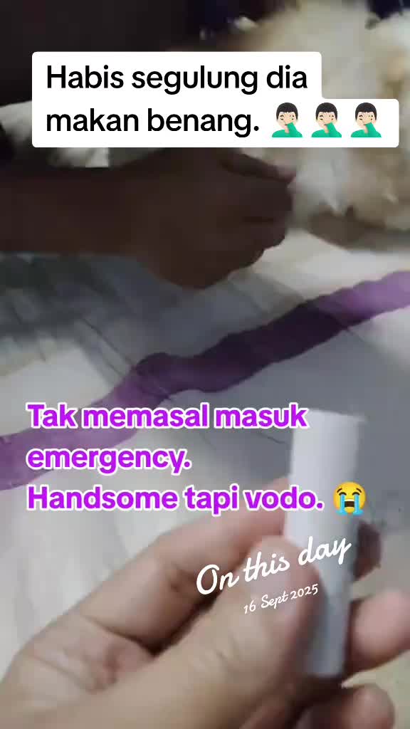 @๐๐๐ช