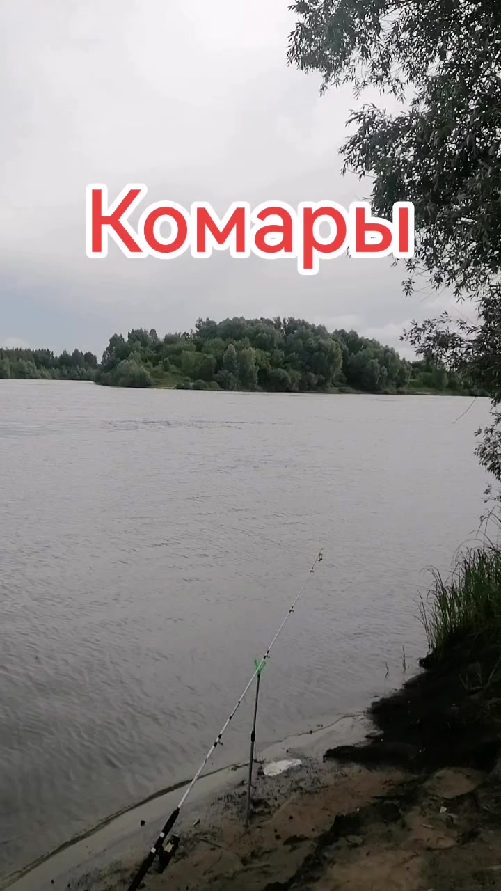 @seregabos
