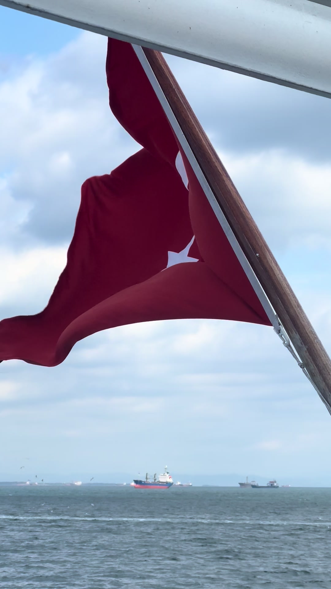 @SarıSezgin4134