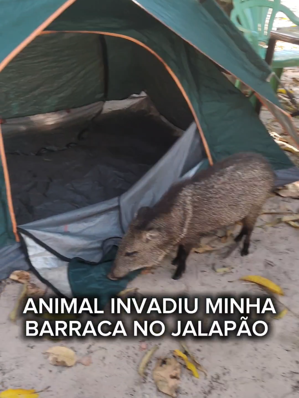 @omundoporondepassamos