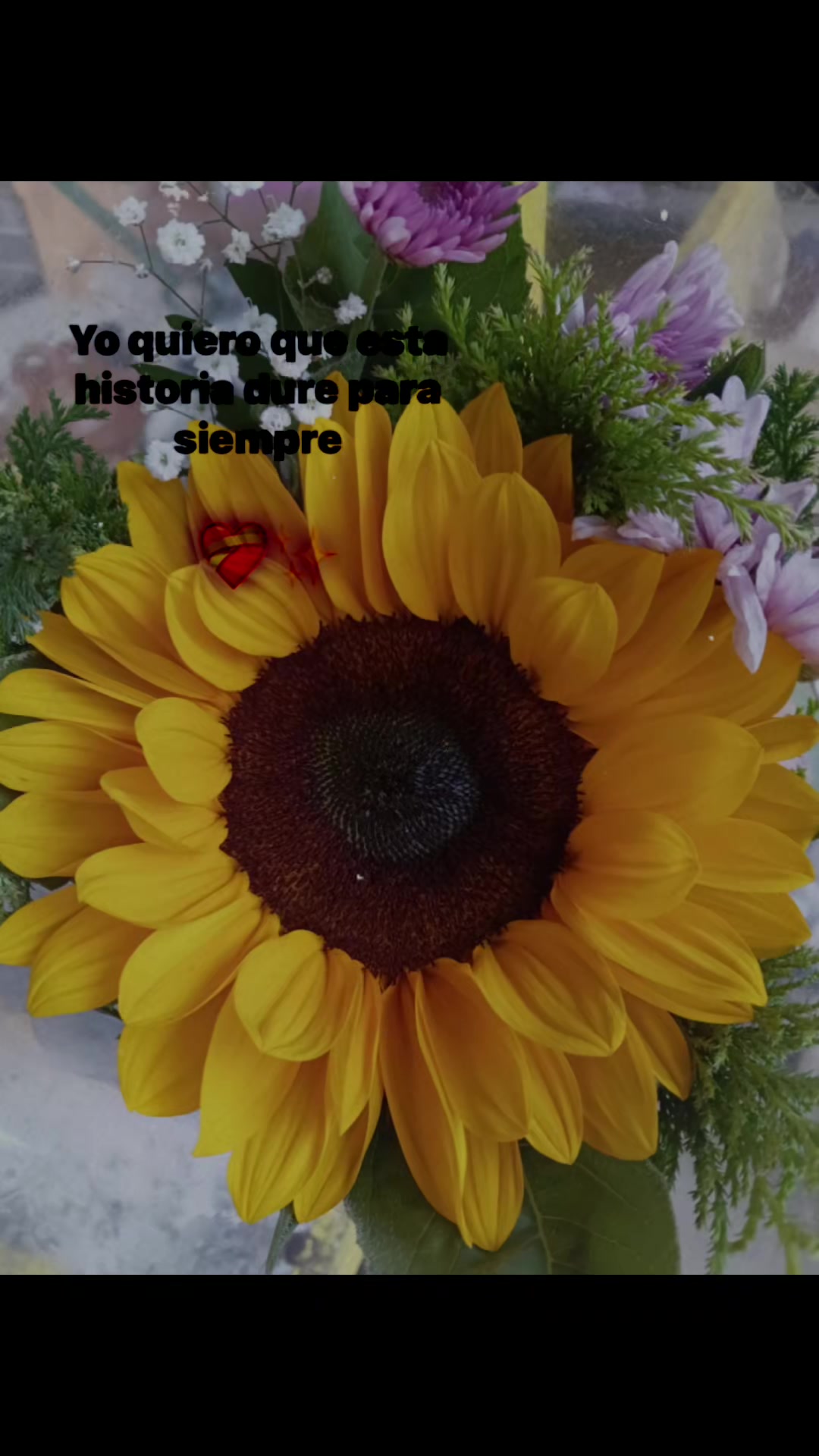 @vjsv