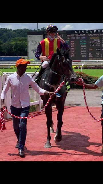 @kevin 🏆🏇🏇🏇🏆 🇸🇬🇲🇾🇳🇿