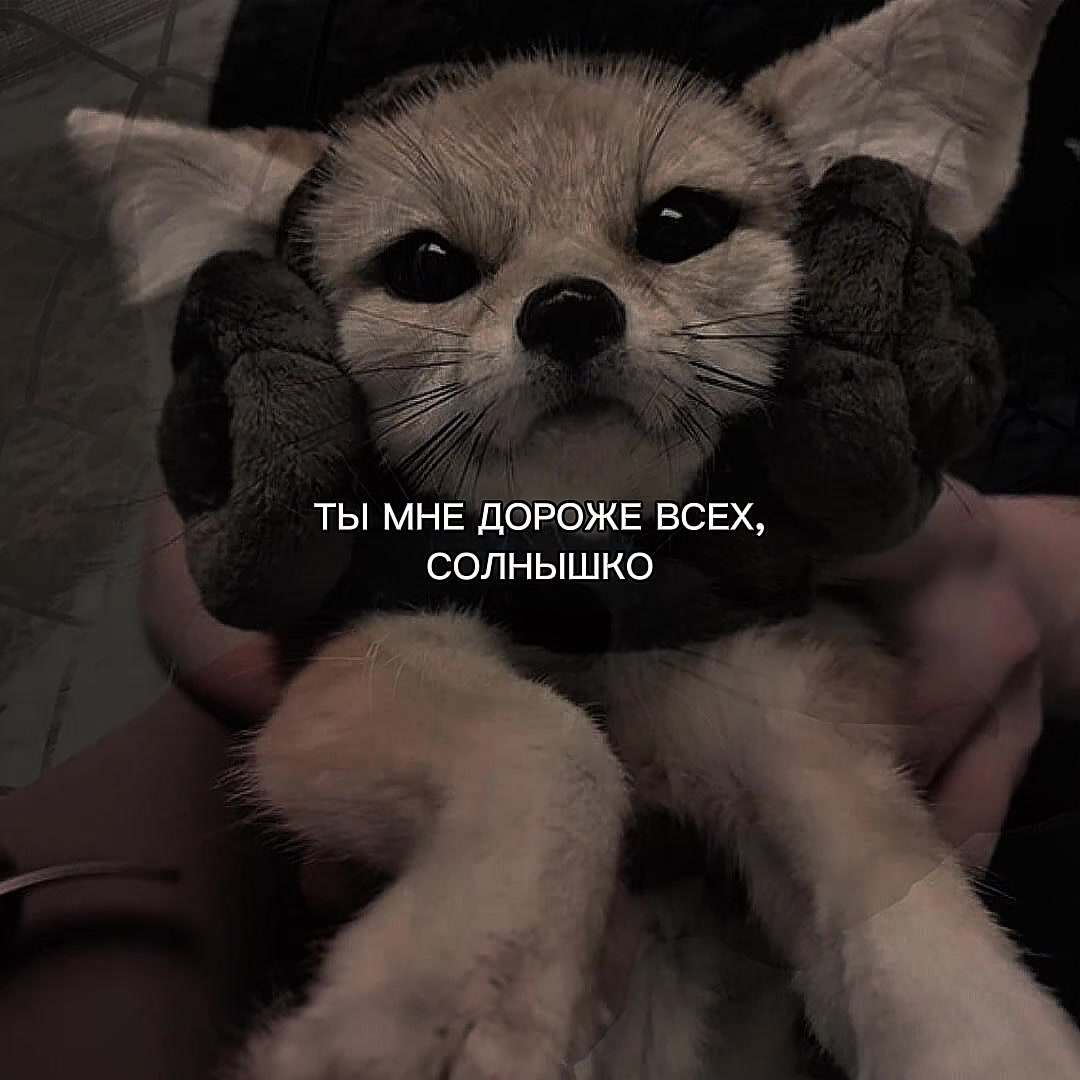 @ХХИКА