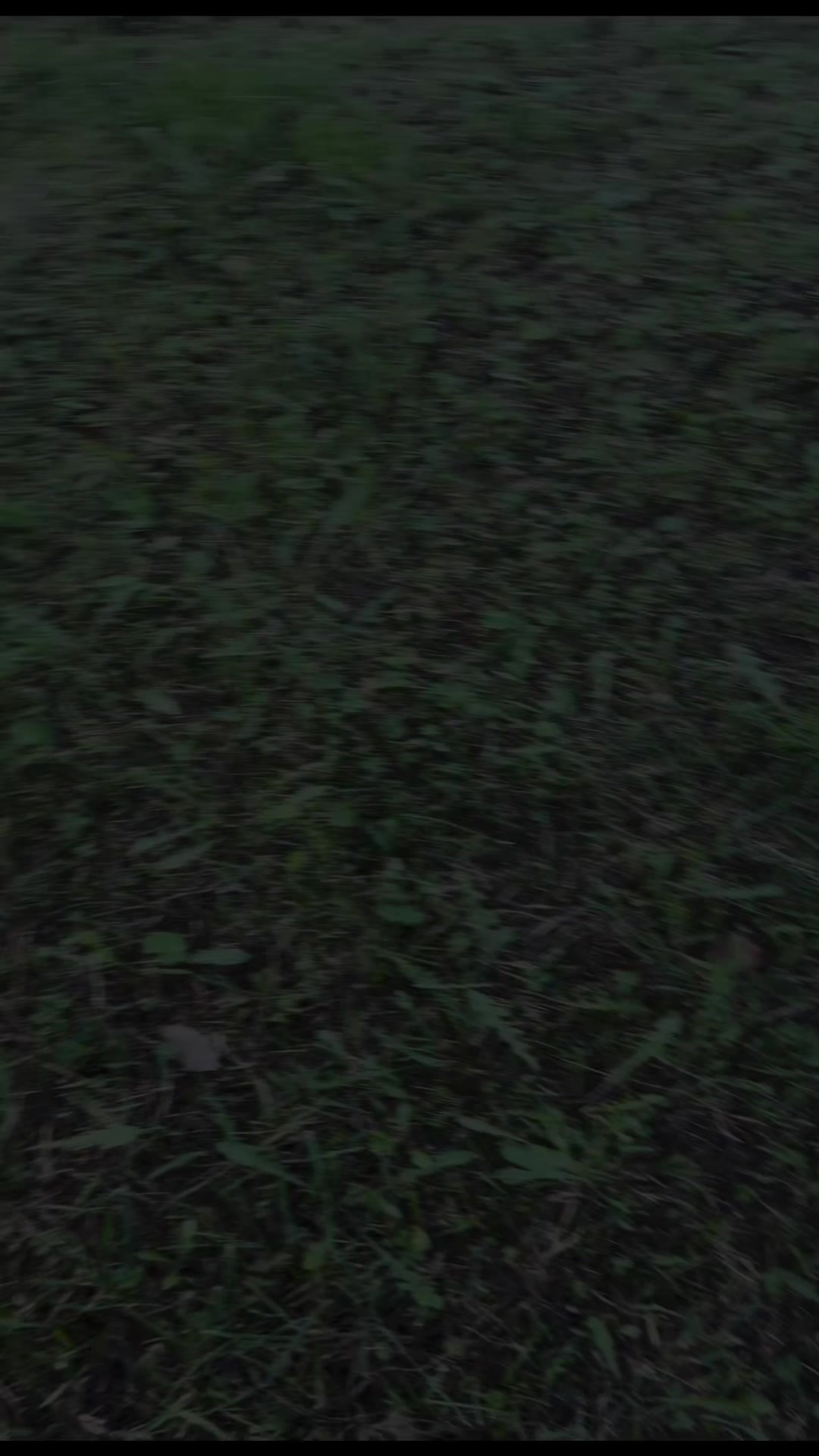 @𝐓𝐓𝐬𝐡𝐧𝐢𝐤𝐨𝐯🔞