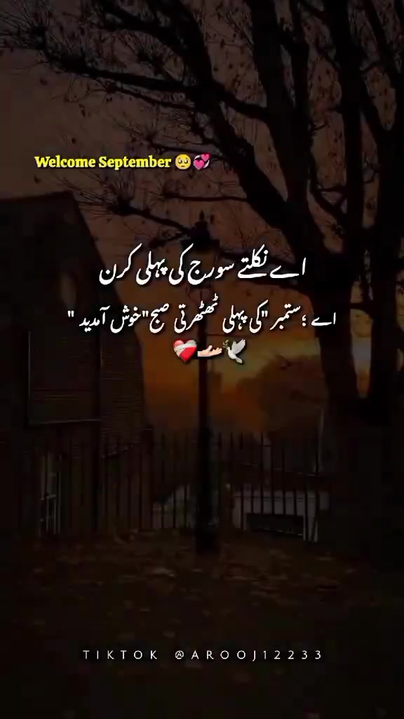 @waseem Ul Hassan.