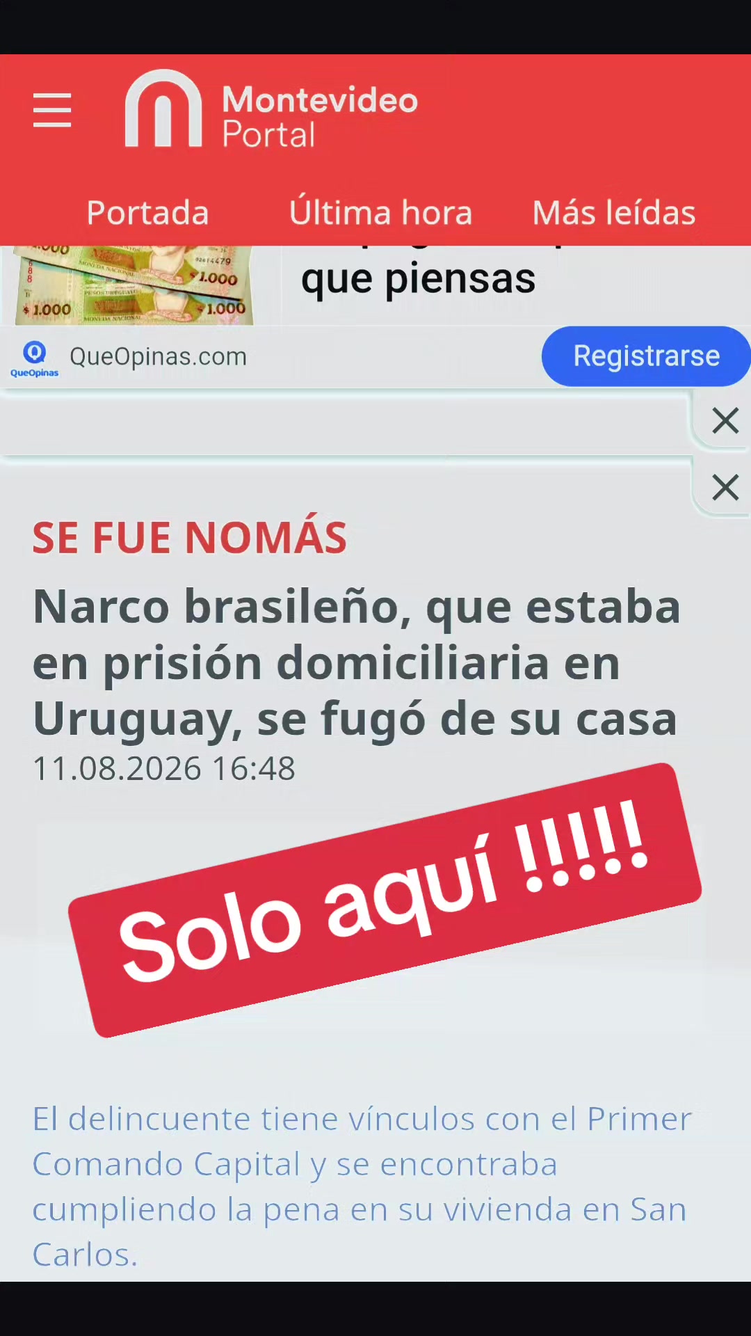 @Miguel.A.Astraldi