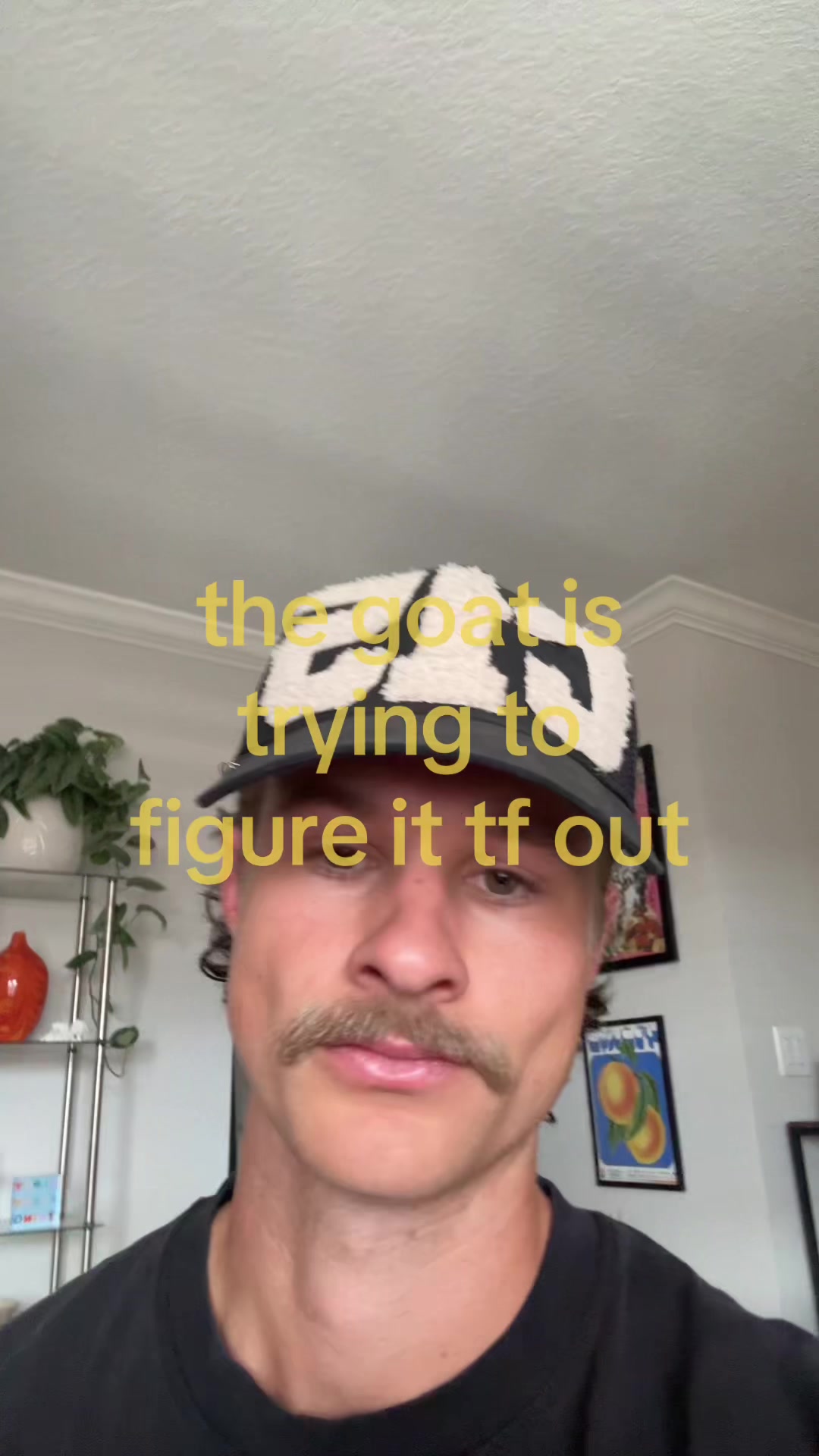 @shane