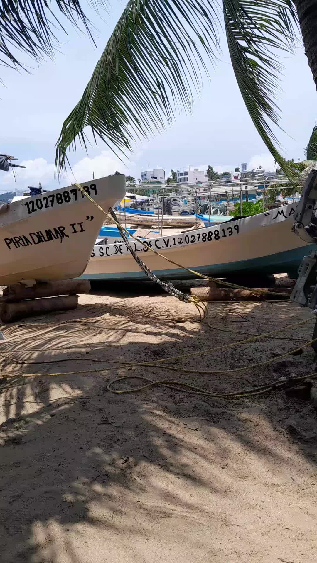 @🌴coste&ntilde;ita 💯❤️🇲🇽