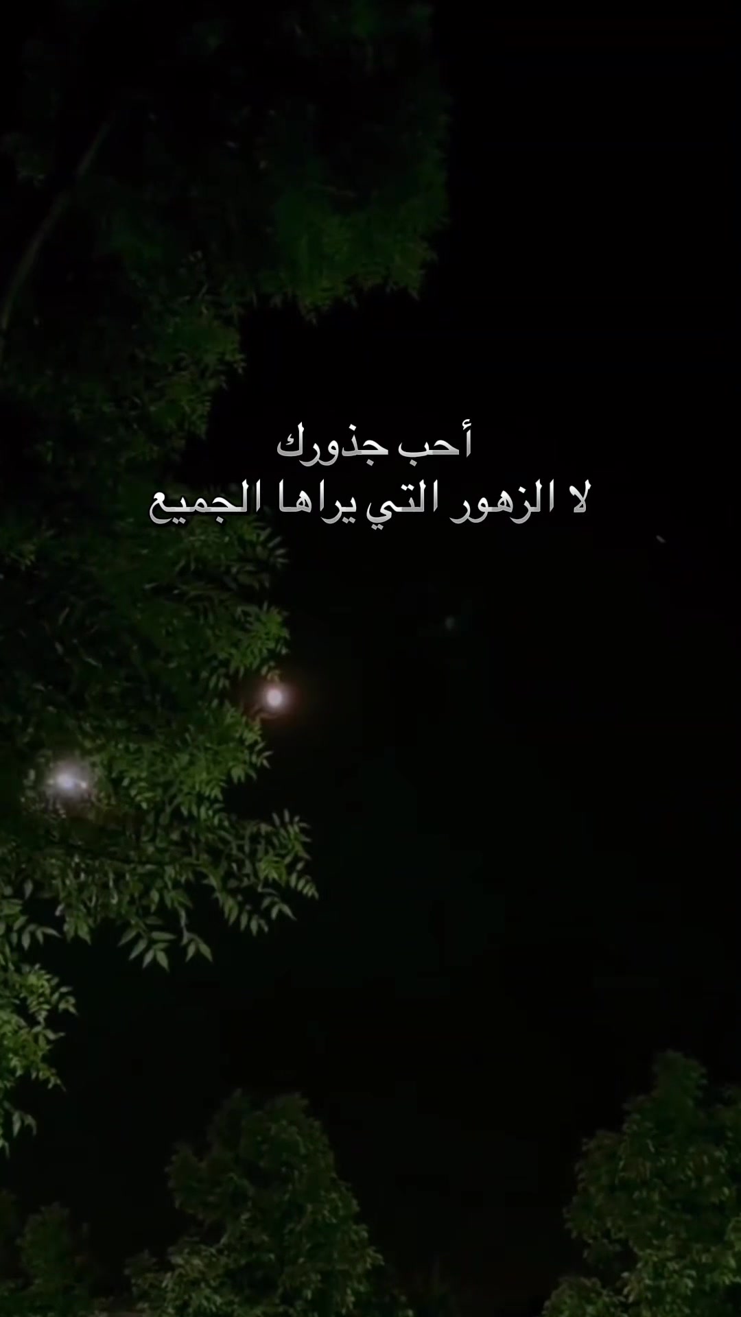 @AL nawawi 🦅