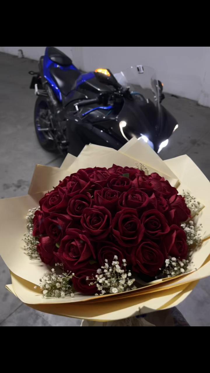 @Receppaldemirr