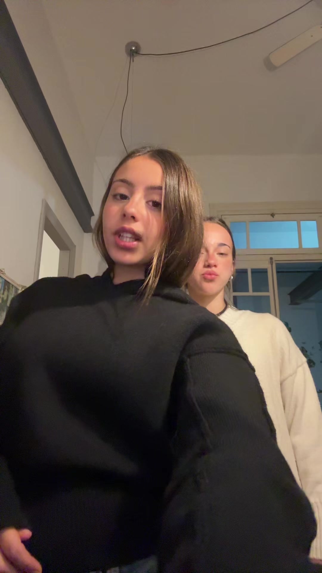 @_renadippolito
