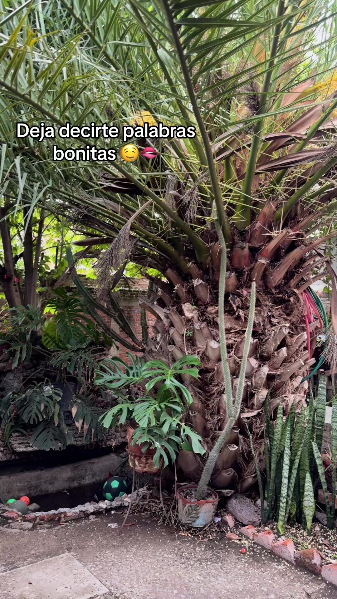 @𝓛𝓪 𝓒𝓱𝓲𝓷𝓪 Fresita🍓