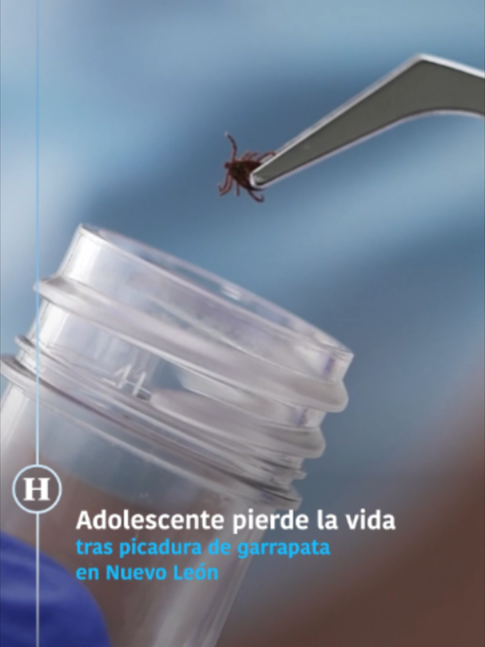 @elheraldodemexico