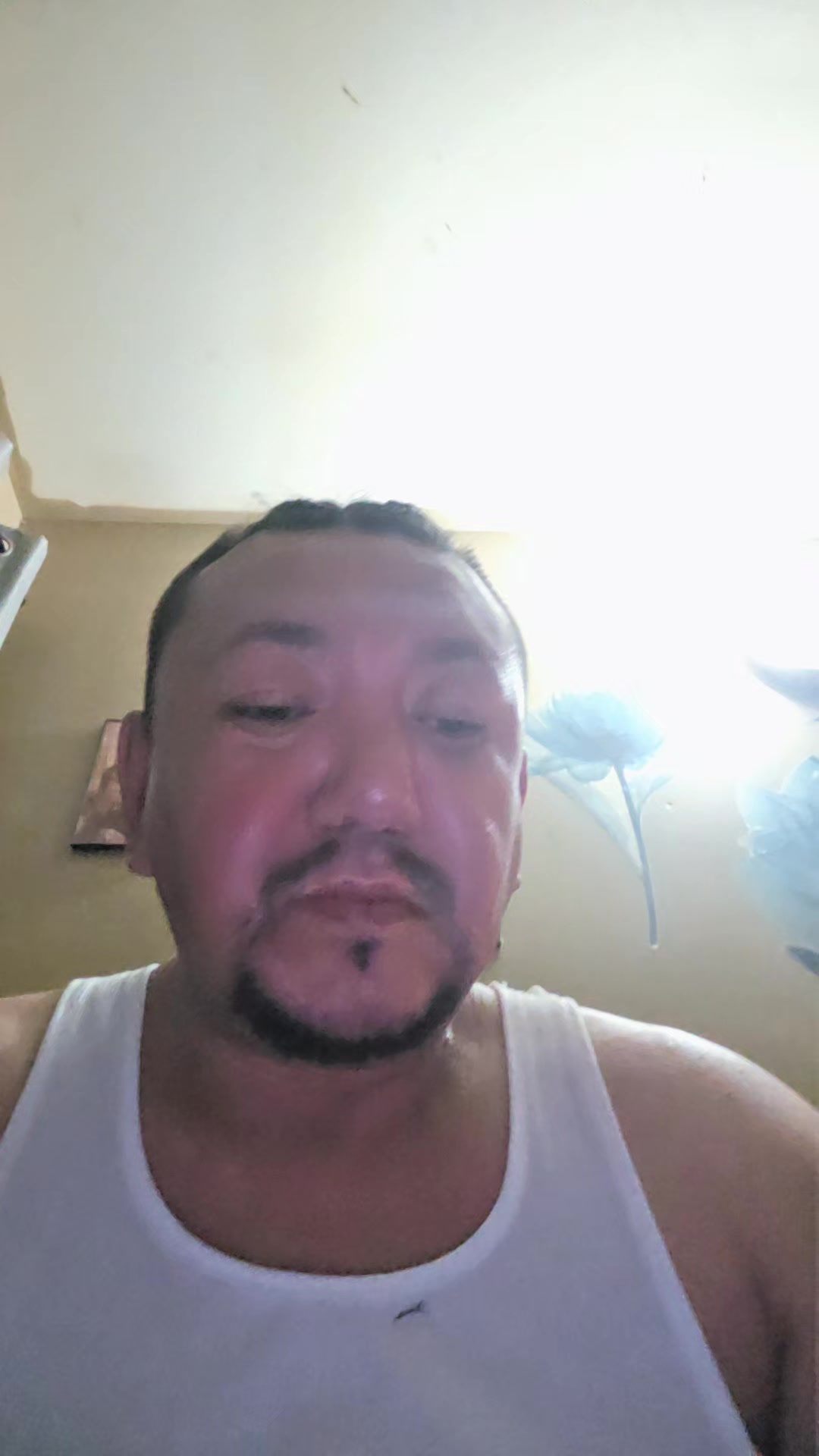 @donnetteleebradburn
