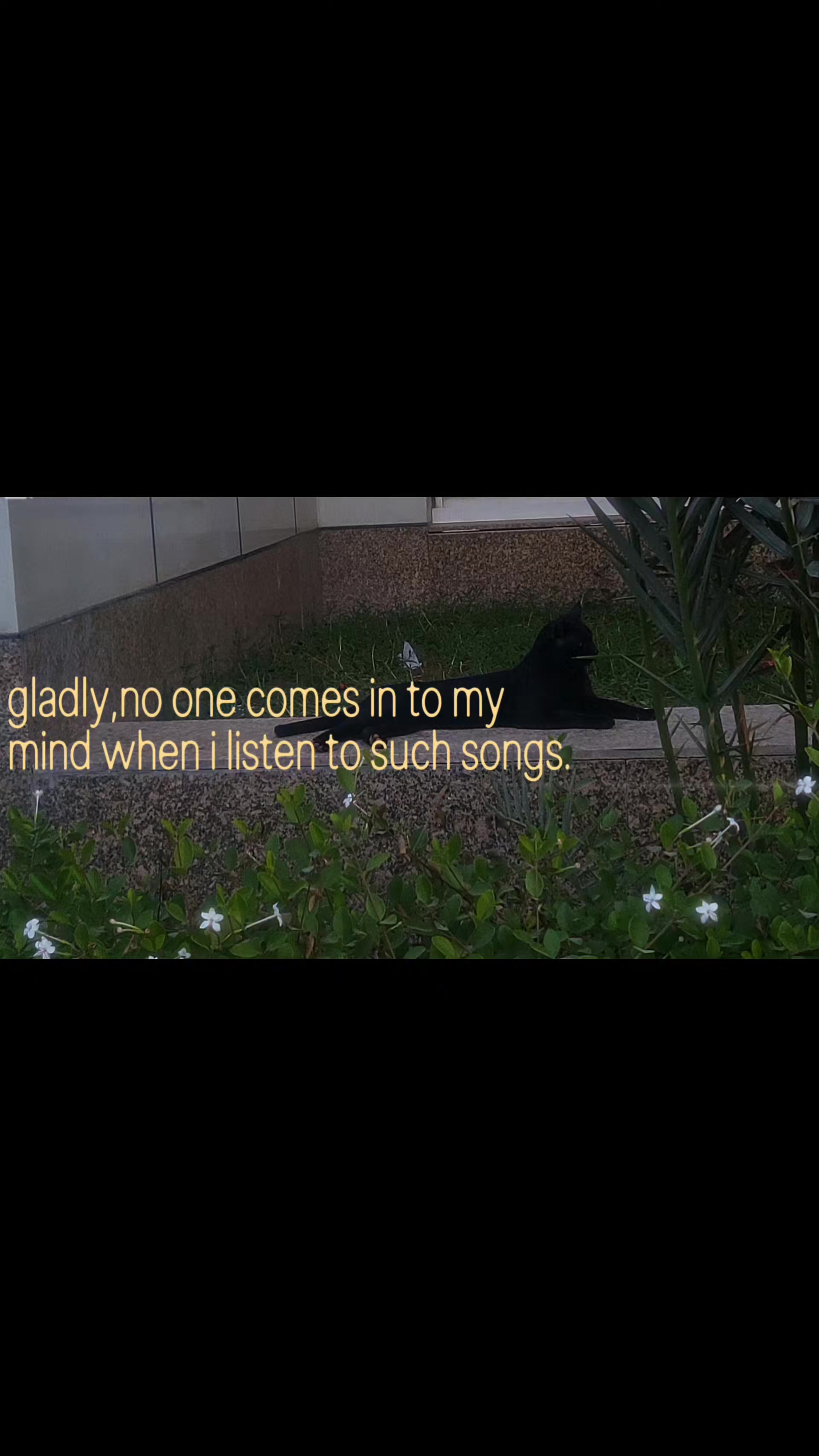 @__