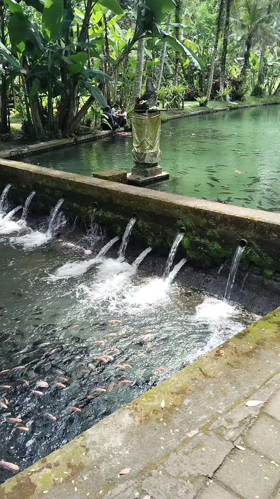 @Awan Rock Bali