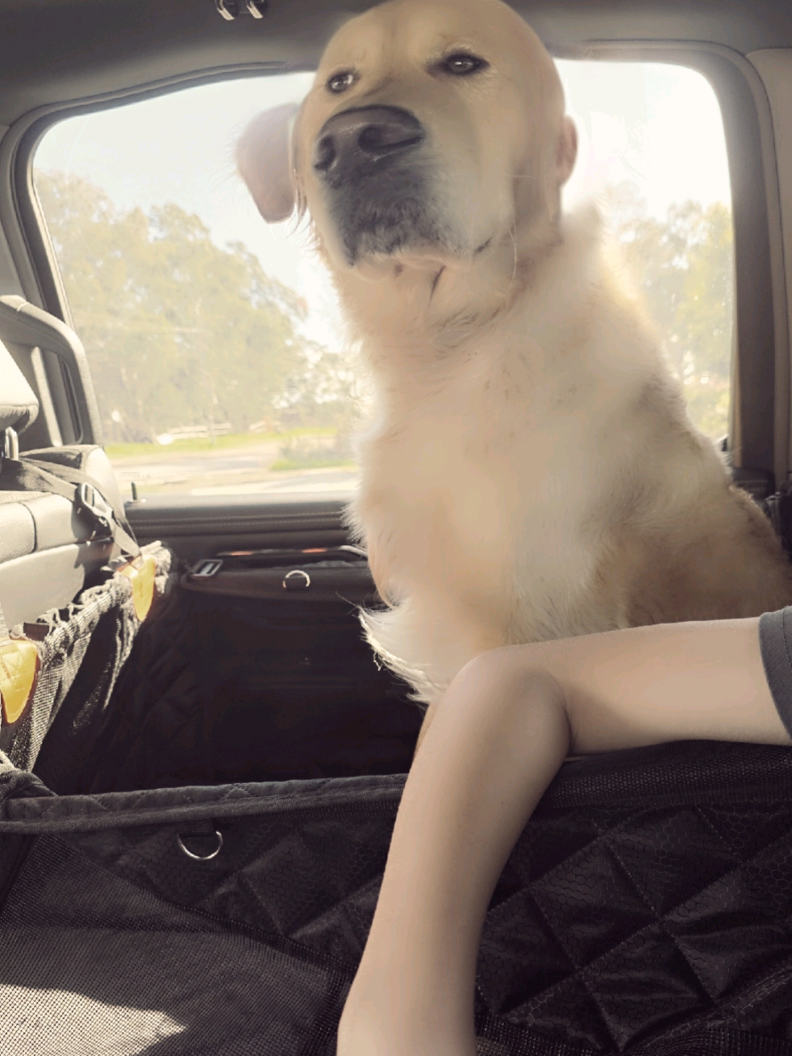 @Chloë๐ง๐ชฝ๐ฆ๐