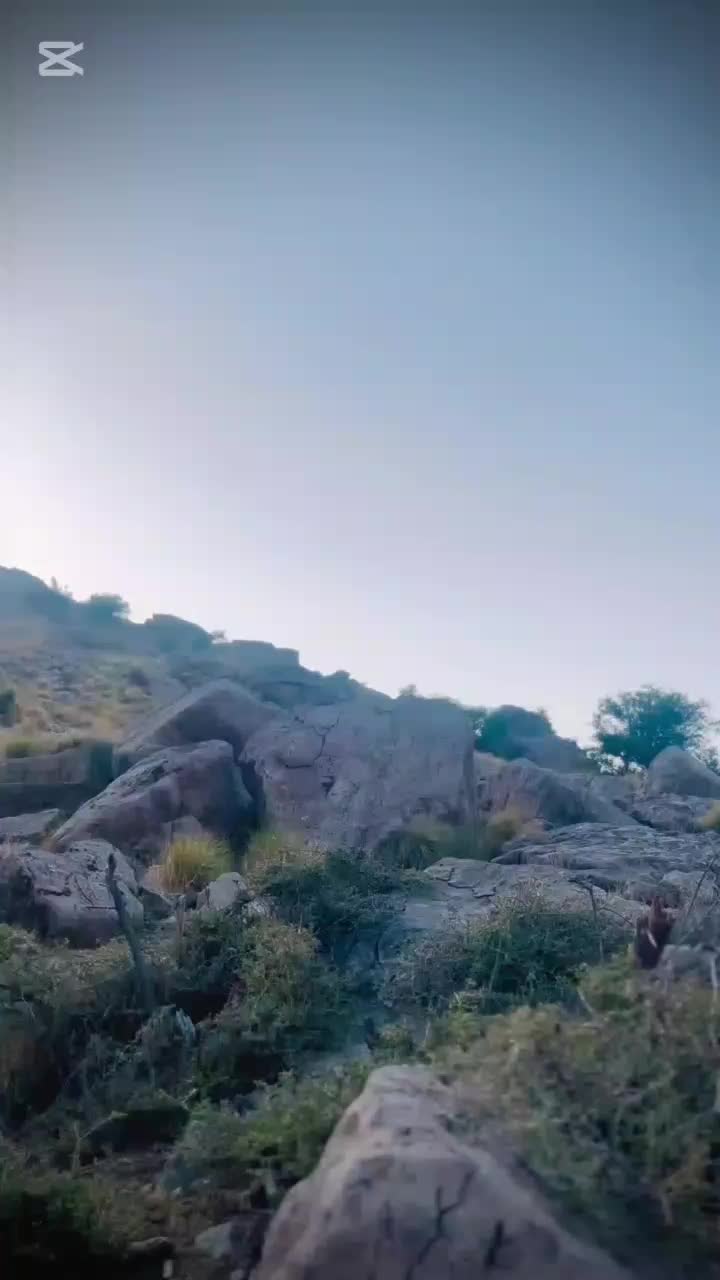 @ammir marri