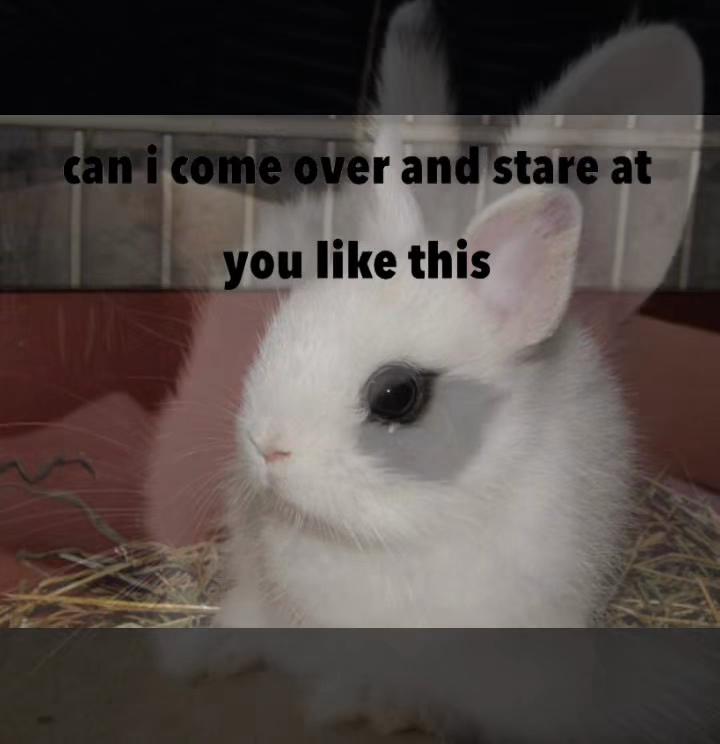 @still