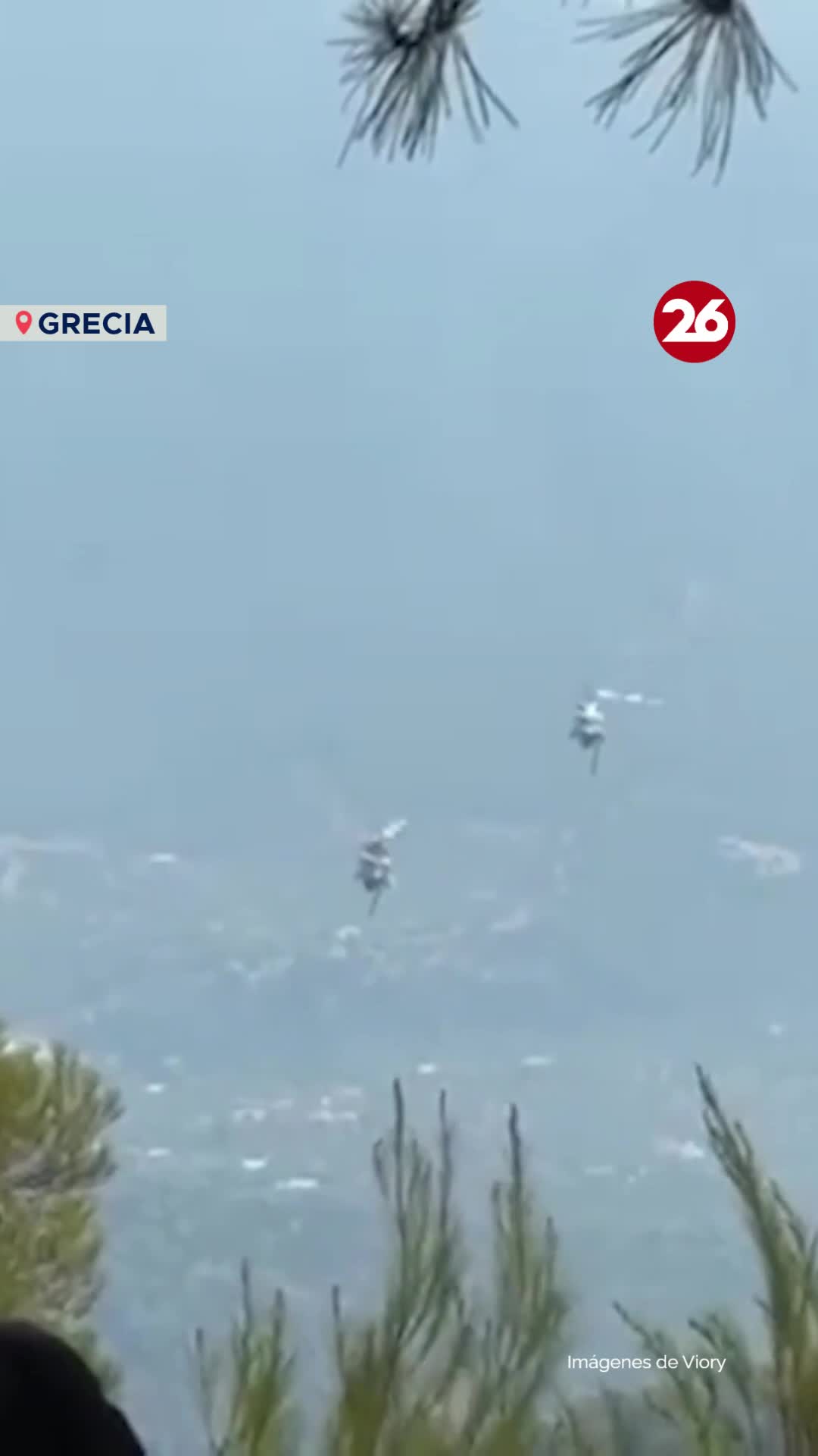 @Canal 26