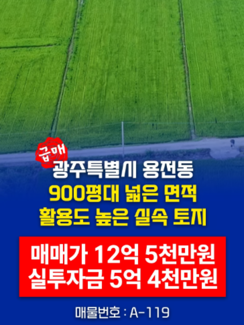 @부동산 전문가 박미란