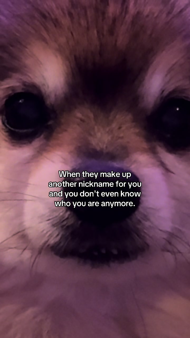 @Nina