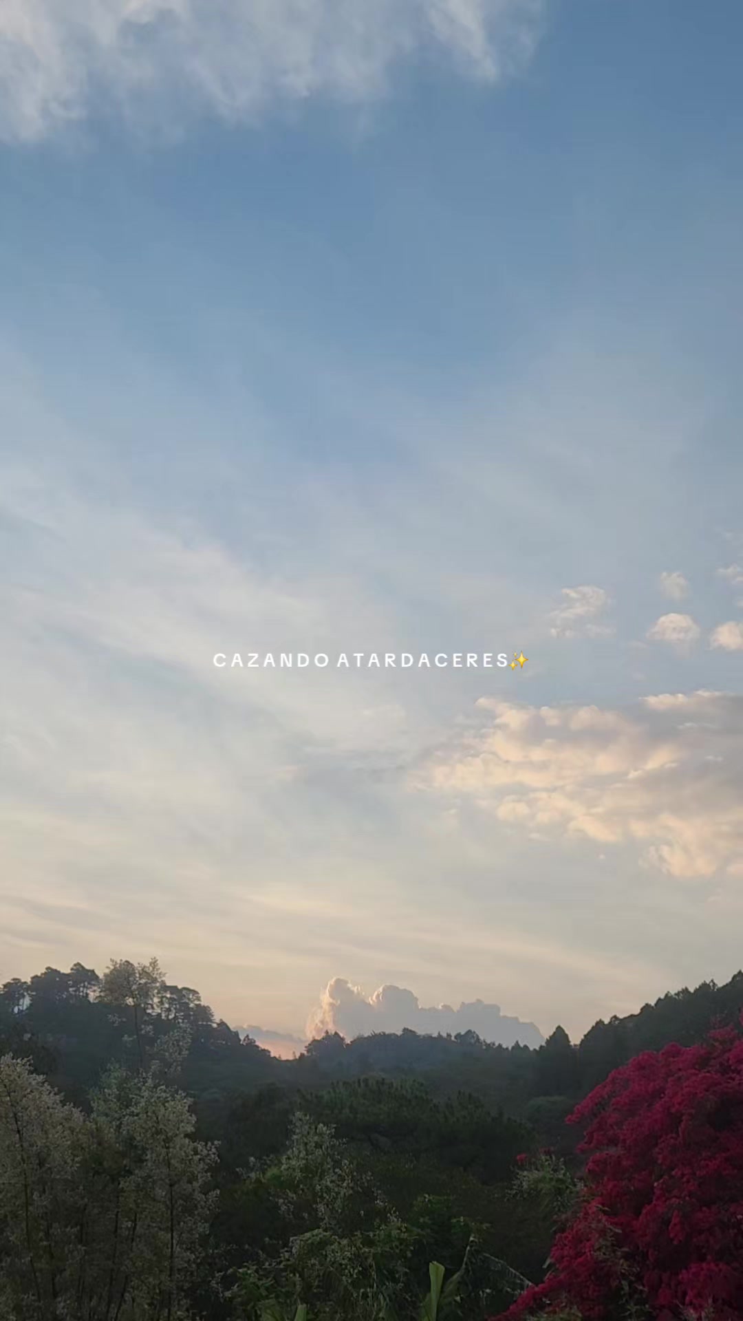 @✓ Cazando Atardecer_ 🌄☀️❤️🔥