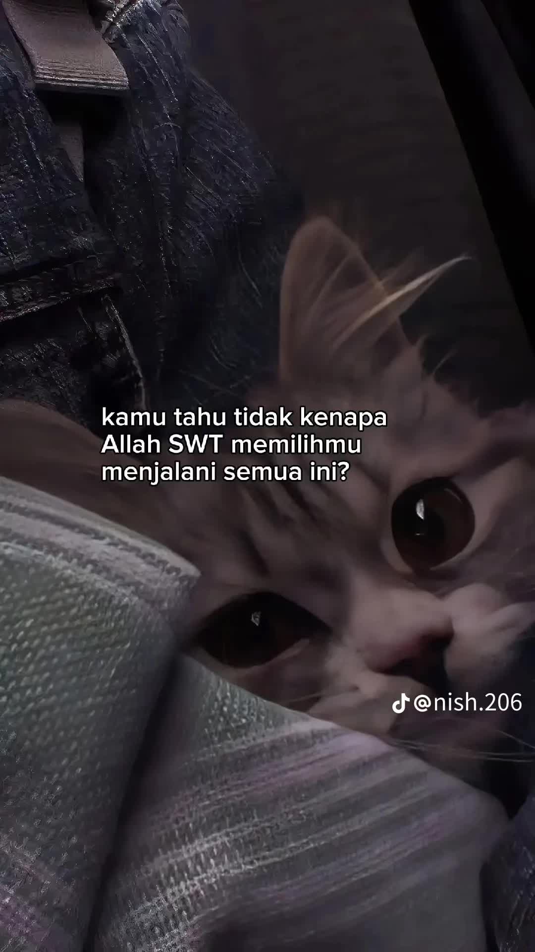 @MeGaTIzZkAnDaR