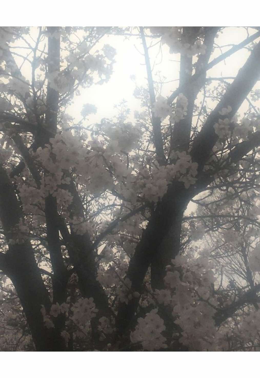@໒꒱